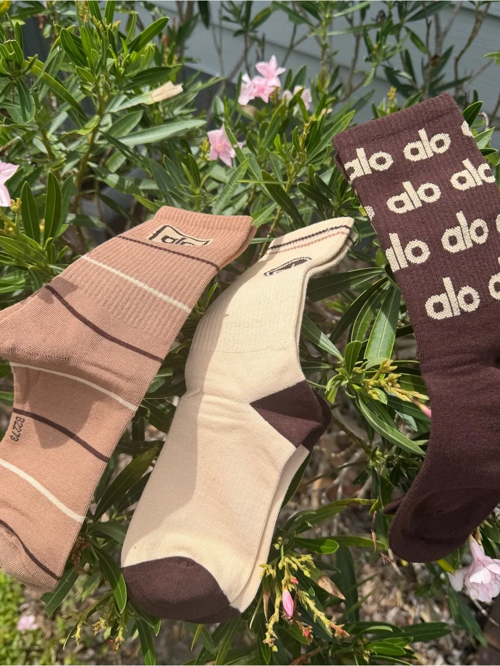 ALO Yoga 3-Pack Crew Socks in Beige, Brown, Tan